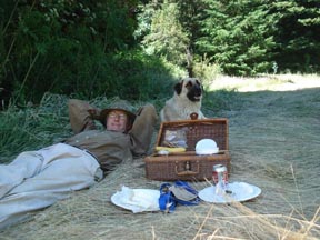 picnic