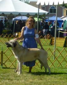 Moose first show