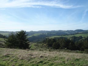 View parcel 2