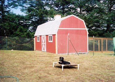 dog barn