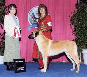 eukanuba