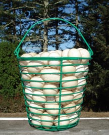 eggs
                            in a basket