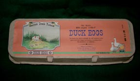 Egg
                      carton