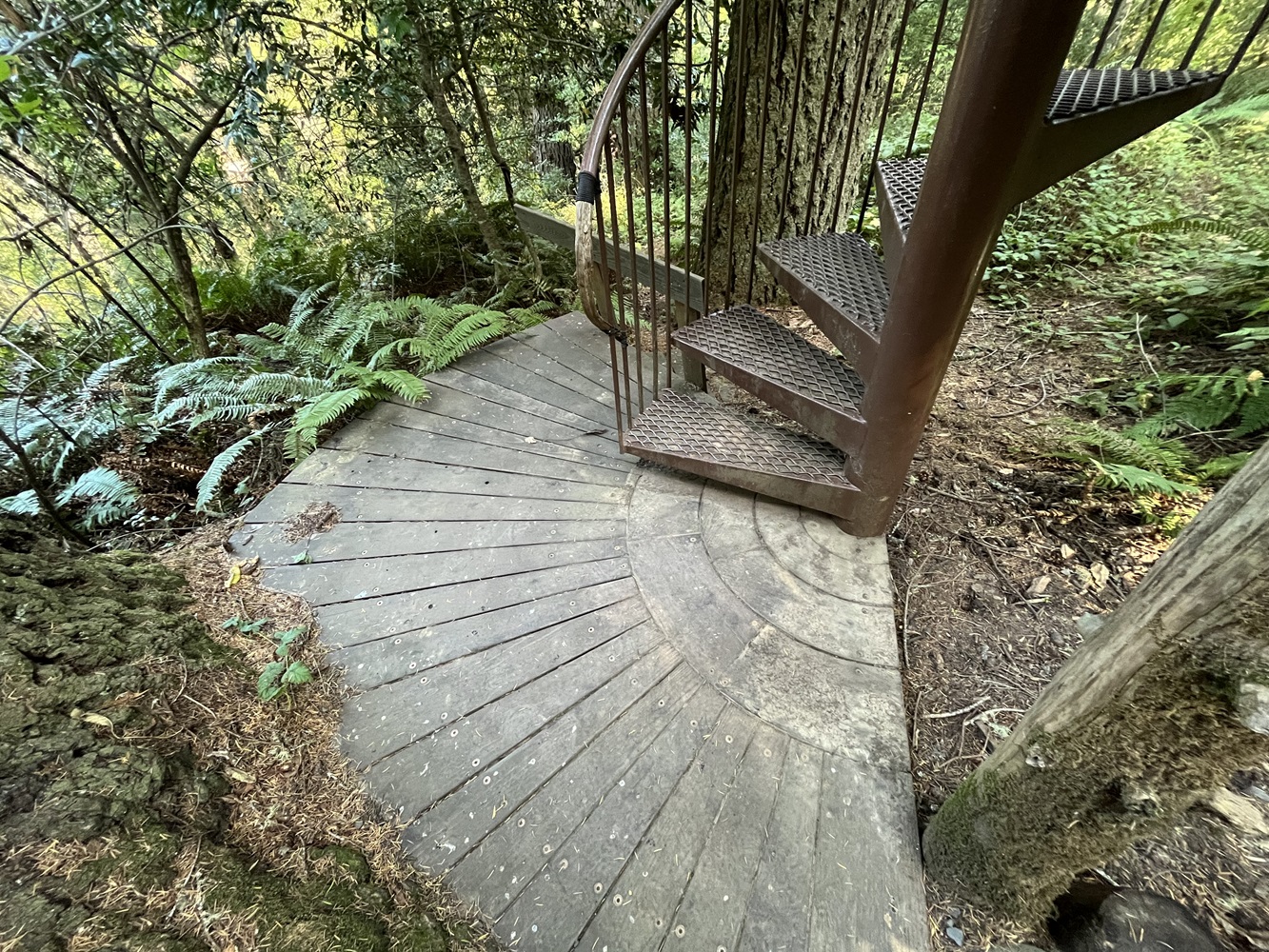 Spiral staircase entry